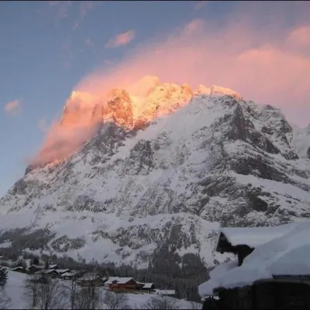 Lejlighed An Ruhiger Lage Mit Schoener Bergsicht By Interhome Grindelwald