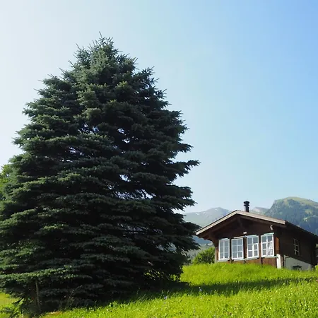 An Ruhiger Lage Mit Schoener Bergsicht By Interhome 格林德瓦