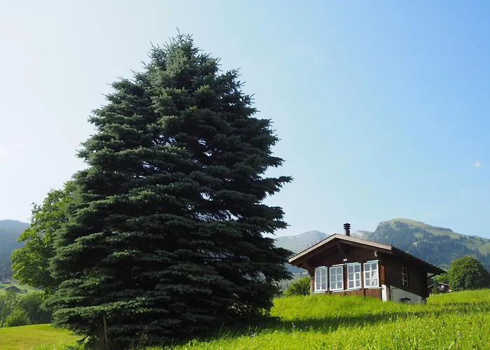 An Ruhiger Lage Mit Schoener Bergsicht By Interhome 格林德瓦