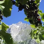 An Ruhiger Lage Mit Schoener Bergsicht By Interhome *